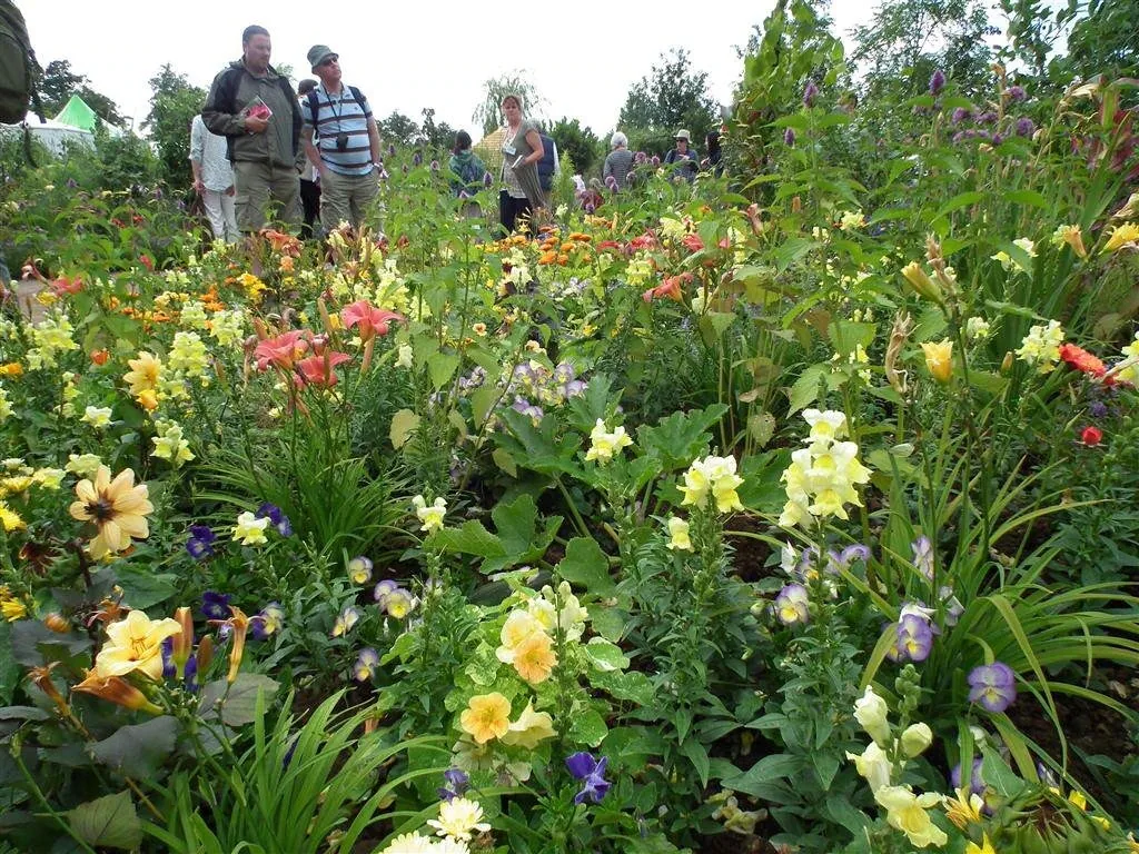 The rhs edible garden   centrepiece for 2011 show 3